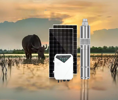 ভালো দাম Optimum Input Voltage 60V-90V DC Solar Water Pump with MPPT Controller Type and Max Flow 3.8m3/h অনলাইন