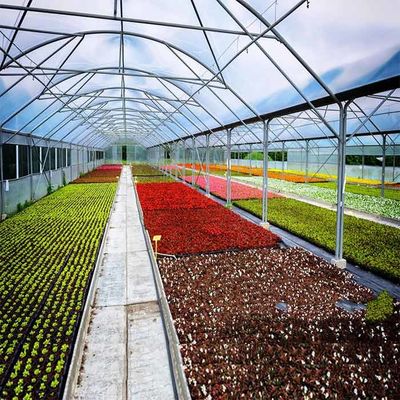ভালো দাম Acid Corrosion Resistant Q345B Frame Greenhouse Solar System অনলাইন