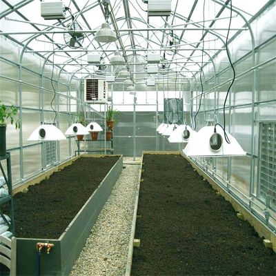 ভালো দাম Open Ground Steel Frame Greenhouse Solar Mounting Systems অনলাইন