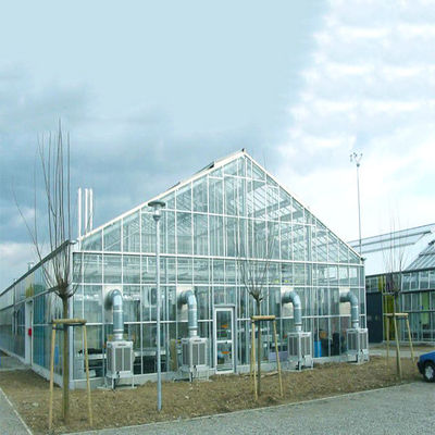 ভালো দাম Galvanized Steel Frame Structure Greenhouse Solar System for Farm অনলাইন