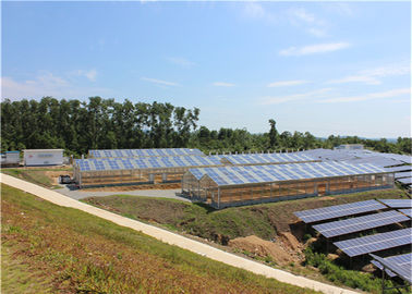 ভালো দাম Single Span Greenhouse Solar System Agriculture Plant Warm House Metallic Structure অনলাইন
