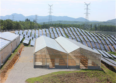 গুণ High Density Greenhouse Solar System Economical Planting Hot Dip Galvanized Steel Structure কারখানা