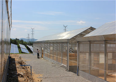 ভালো দাম Roof Mounted Greenhouse Solar System Photovoltaic Power Plants Agricultural Crops অনলাইন