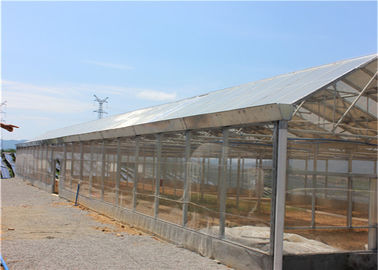 ভালো দাম Ground Solar System For Agriculture , Plant Farm Solar PV Mounting Systems অনলাইন