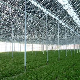 ভালো দাম Commercial Greenhouse Solar System Electric Power Galvanized Surface Treatment অনলাইন
