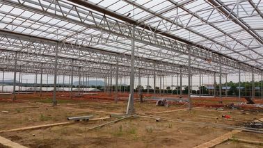 ভালো দাম Hot Galvanized Steel Frame Solar Panel Power System , Strawberry Solar Power Energy System অনলাইন