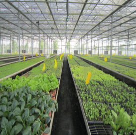 ভালো দাম 5kw Greenhouse Solar System Ground Mount 10-60° Tilt Angle Thickness 2.0mm/2.5mm অনলাইন