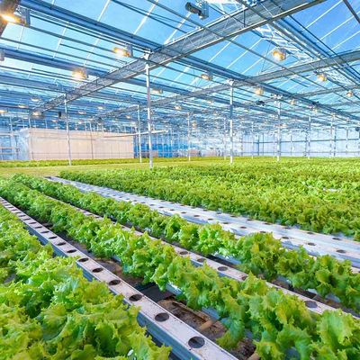 ভালো দাম Intelligent Adjustable Height Greenhouse  Lightweight Solar System Frame Photovoltaic Agricultural Mounting Structure অনলাইন
