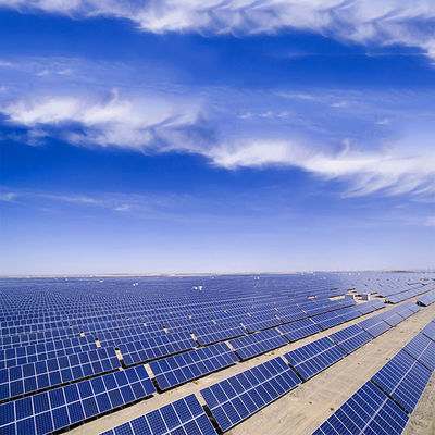 ভালো দাম 100KW Solar Power Mounting Systems Hot Dip Galvanized Steel Ground Plant Pile অনলাইন