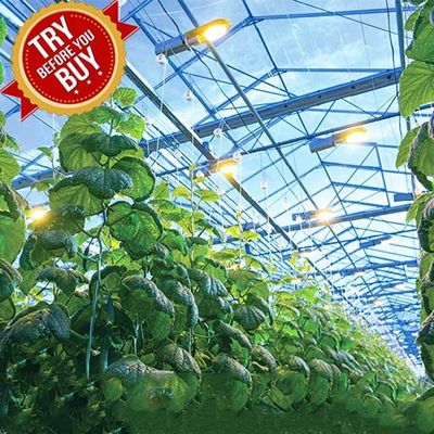 ভালো দাম CE Steel Frame Mounting Winter Greenhouse Solar System Tin Film Module Support Structure For Green Space অনলাইন