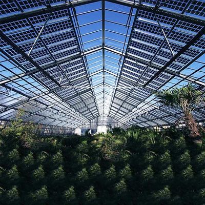 ভালো দাম Roof Greenhouse Solar System Photovoltaic Structure Q235 Q345 1.4KN/M2 Max Snow Load অনলাইন
