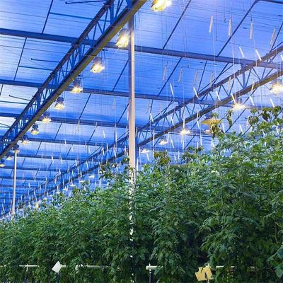 ভালো দাম Integrated PV Panel Mounting Systems Greenhouses Thin Film Module Support Structure অনলাইন