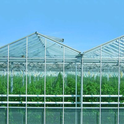 ভালো দাম Ground Mounted Photovoltaic Solar System For Plant Farm অনলাইন