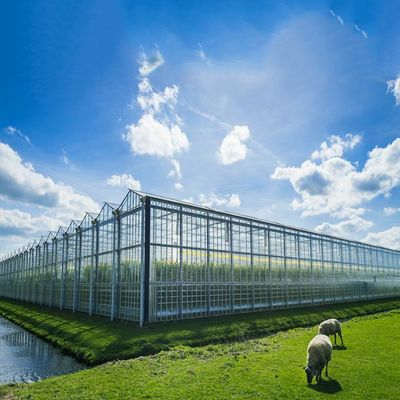 ভালো দাম Multi Purpose 500KW BIPV Greenhouse Solar System অনলাইন