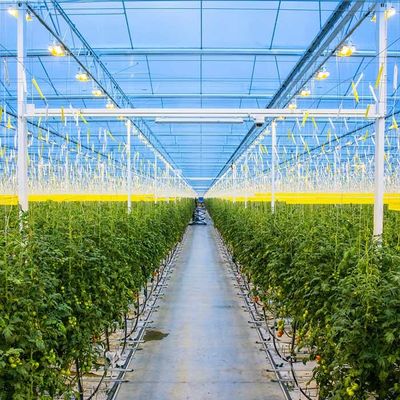ভালো দাম Agricultural Galvanized Steel Frame Solar PV Greenhouse অনলাইন