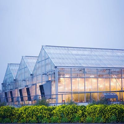 ভালো দাম Galvanized 12mm Thickness Film Greenhouse Solar System অনলাইন