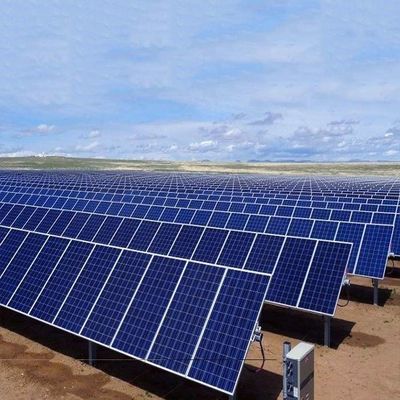 ভালো দাম On/Off Grid 100KW Hot Dip Galvanized Steel Ground Plant Piles For Solar Power Mounting Systems অনলাইন