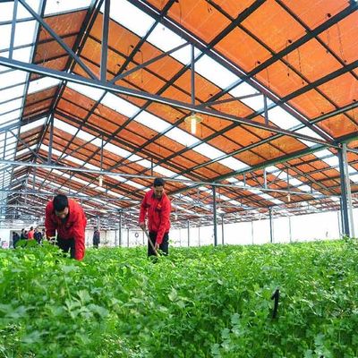 ভালো দাম Hot Galvanized Steel Frame Thin Film Module Support Structure For Photovoltaic Greenhouses অনলাইন