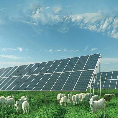 ভালো দাম Galvanized Base Metal Solar Panel Ground Mounting Systems Structure অনলাইন