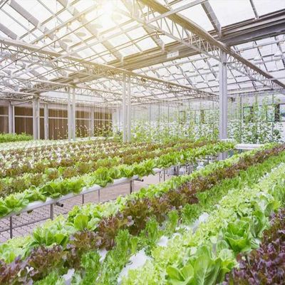 ভালো দাম 10-60 ° Horizontal Vertical Greenhouse Solar Systems 36.9m/S wind Load অনলাইন