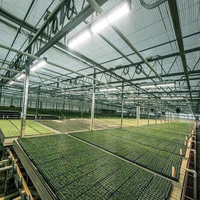 ভালো দাম A Frame Outdoor Irrigation Agricultural Solar Powered Greenhouse অনলাইন