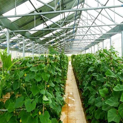 ভালো দাম Galvanized Anodized Solar PV Greenhouse With Shading System অনলাইন