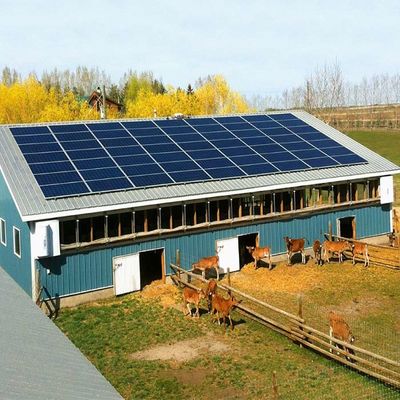 ভালো দাম Galvanized Ground Mounted Solar System For Greenhouse অনলাইন