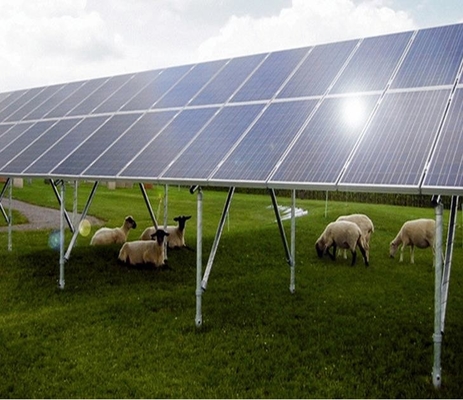 ভালো দাম SGS Open Field Solar Mounting Structure With concrete foundation solar bracket solar mounting system অনলাইন